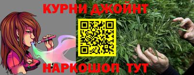 Альфа ПВП Малгобек